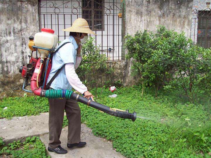 青岛灭鼠 - 青岛灭鼠|青岛灭老鼠|青岛灭蟑螂|青岛除蟑螂-青岛神来之